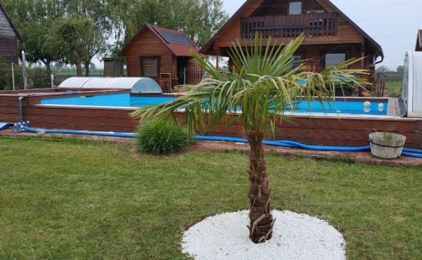 Csendes, vízparti horgász nyaraló kiadó