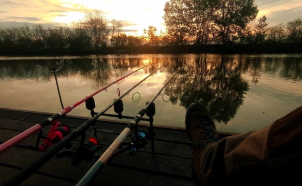 ÁRNYASFŰZ NYARALÓ, KÖZVETLEN VÍZPARTI A PERESI-HOLTÁGNÁL